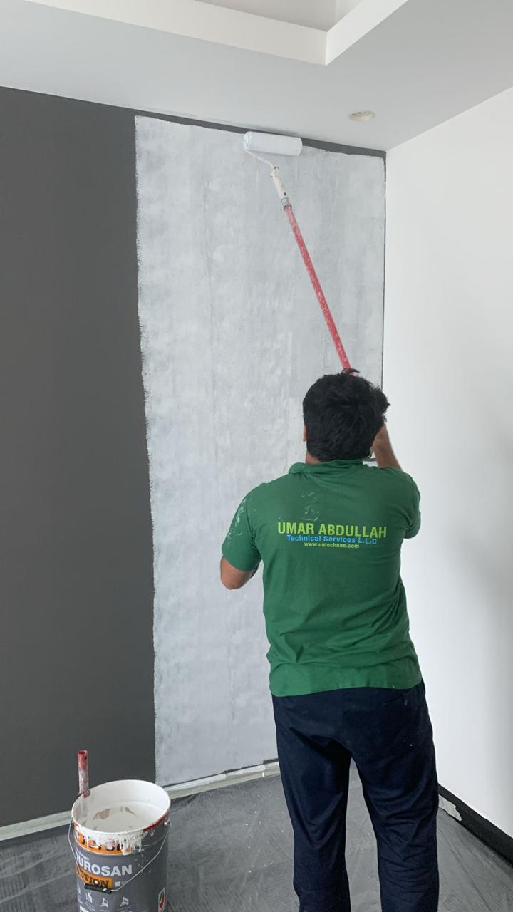 Professional Paint Job